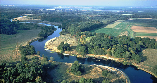 Mulde