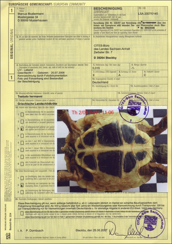 EU-Bescheinigung für eine Griechische Landschildkröte EU-Bescheinigung für eine Griechische Landschildkröte